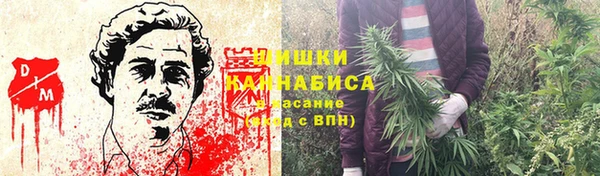 МДПВ Краснослободск