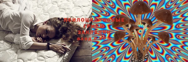 крисы Краснотурьинск