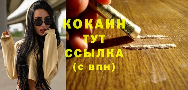 МДПВ Краснослободск