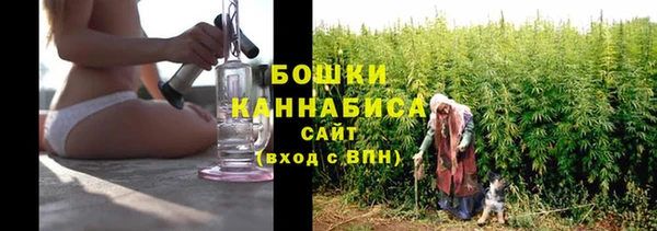 МДПВ Краснослободск