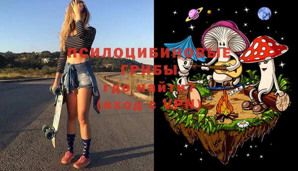 МДПВ Краснослободск