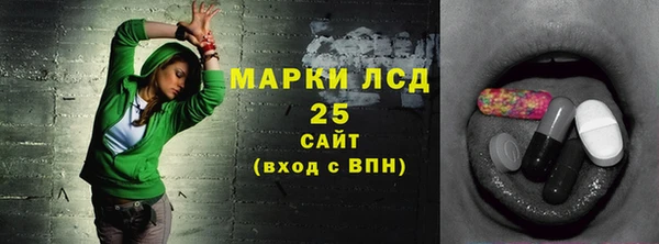 МДПВ Краснослободск
