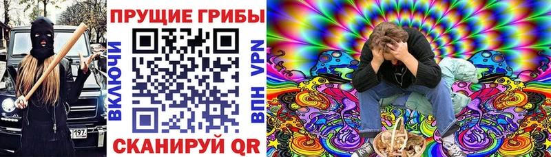Галлюциногенные грибы Psilocybine cubensis  Купить закладки  Гаджиево 